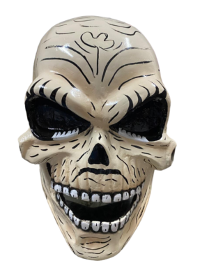 Skull Fiberglass head